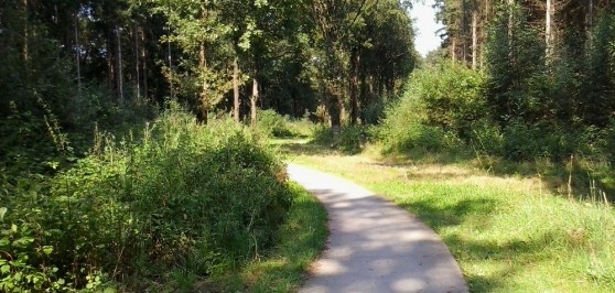 Gallery image 3