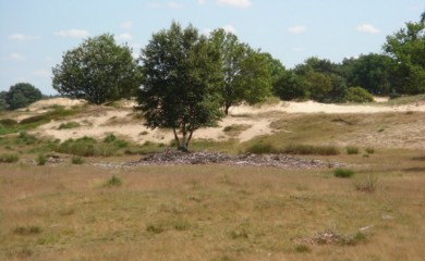 img-22