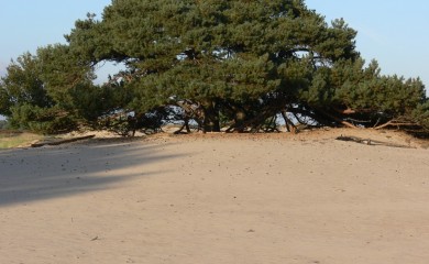 img-14