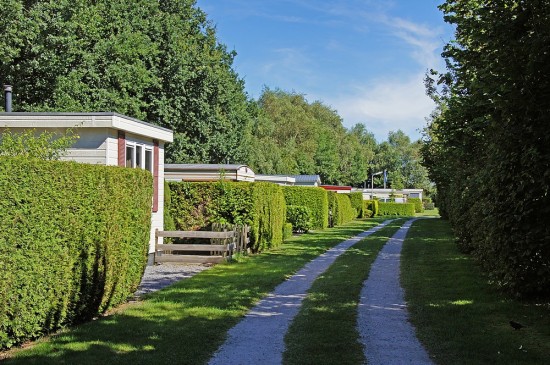 header_banner_image_mobile