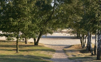 img-13